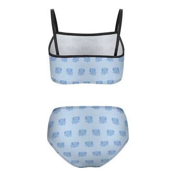 Girls' Blue Elephant Print Two-Piece Swimsuit